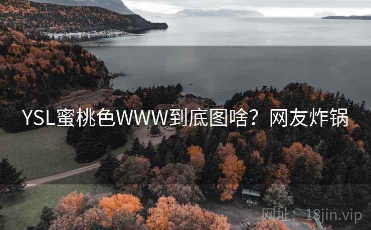 YSL蜜桃色WWW到底图啥？网友炸锅